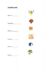 English worksheet: scramble word body