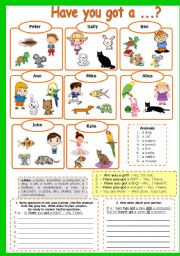 English Worksheet: HAVE YOU GOT ..? (GAME + EXERCISES)