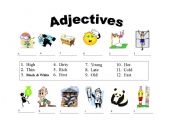 English worksheet: Adjectives for Starter Students