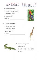 English Worksheet: Animal Riddles 