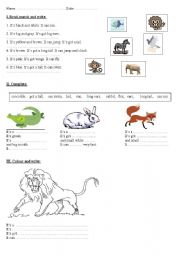 English Worksheet: Test: to revise names  and descriptions of animals