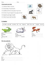 English worksheet: Test: to revise names  and descriptions of animals