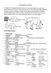 Do the elephant Quiz