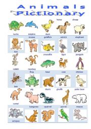 English Worksheet: Animals 1/3 Pictionary