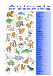 English Worksheet: Animals 2/3 Matching exerice