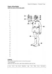 English worksheet: Parts of The Body