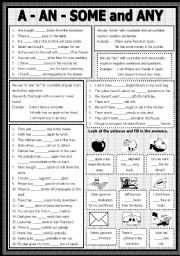 English Worksheet: A - An - Some and Any