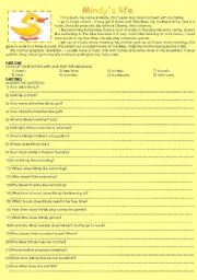 English Worksheet: an elementary reading text