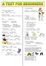 English Worksheet: A TEST FOR BEGINNERS