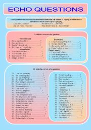 Echo questions - exercises (B/W, editable, key)