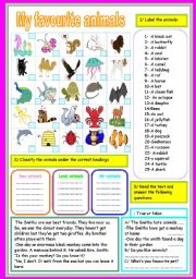 English Worksheet: my favourite animals