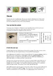 English Worksheet: The eye - biology
