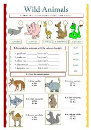 English Worksheet: Wild animals (07.02.10)