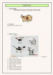 English worksheet: CRAZY PETS