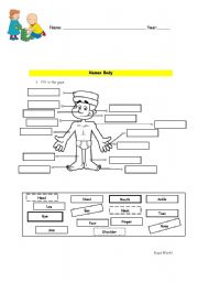 English Worksheet: Human Body - Worksheet