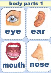 English Worksheet: BODY PARTS FLASH-CARDS - PART 1