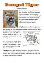 Bengal Tiger Printout