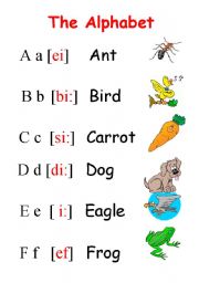 English Worksheet: ALPHABET(part 1)