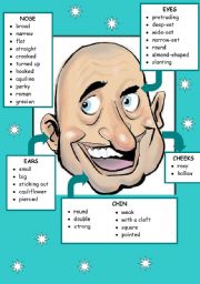 English Worksheet: Face