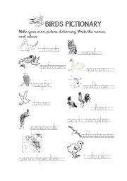 English Worksheet: Birds Pictionary