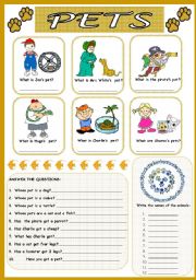 English Worksheet: pets