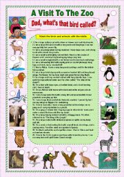 English Worksheet:  A Visit To The Zoo