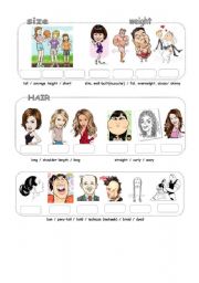 English Worksheet: Physical Appearance (3)