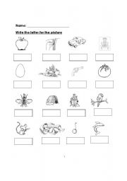 English worksheet: Write the beginning letter of the picture 