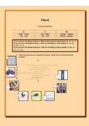 English worksheet: Plurals