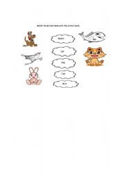 English Worksheet: tame animal