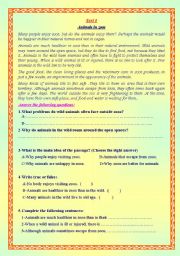 English Worksheet: reading comprehension worksheets