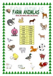 English Worksheet: FARM ANIMALS