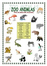 ZOO animals