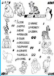 English Worksheet: wild animals