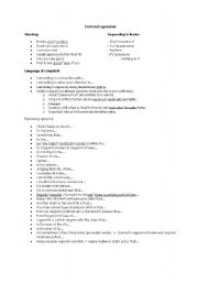 English worksheet: Universal Expressions