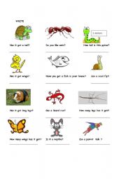 English worksheet: Have/Has got ,Can/Can
