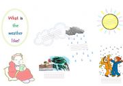 English worksheet: What is the weather like today?