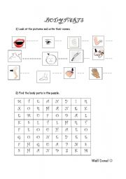 English worksheet: Body Parts