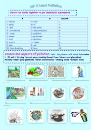 English Worksheet: pollution :causes and aspects