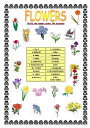 English Worksheet: FLOWERS