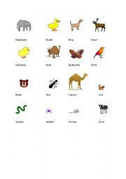 English Worksheet: animals 2