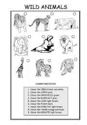 English Worksheet: ANIMALS (WILD ANIMALS)