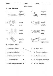 English Worksheet: Classroom objects- distinguish Plural and Singular