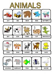 English Worksheet: animals pictionary