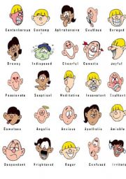 English Worksheet:  Attitudes  and  Feelings Picture Dictionary