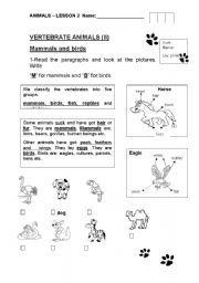 English worksheet: Mammals and birds for all