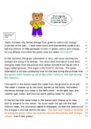 English Worksheet: Why Do Leaves Change Color?