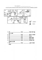 English worksheet: months of the year with always and never