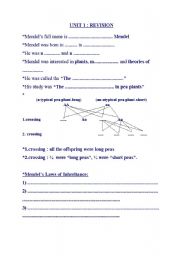 English Worksheet: academic
