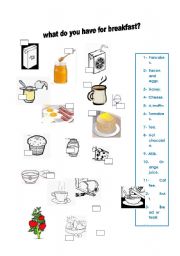 Breakfast vocabulary.